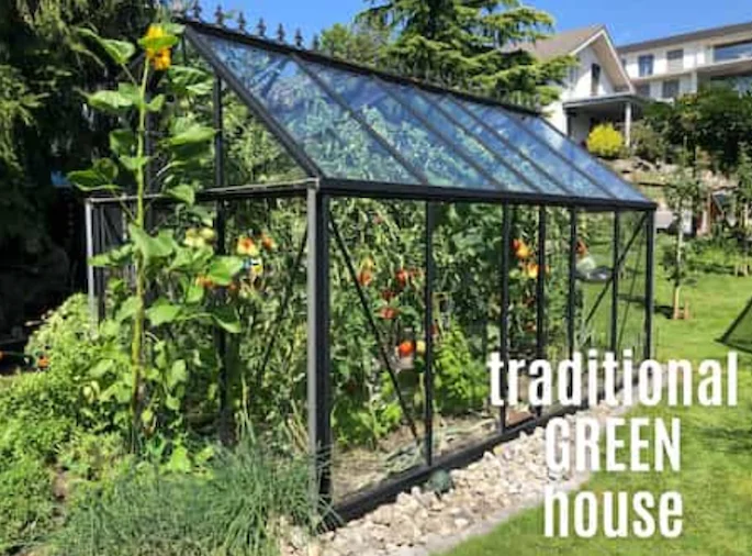 A traditional greenhouse! A traditional black frame greenhouse in a sunny garden