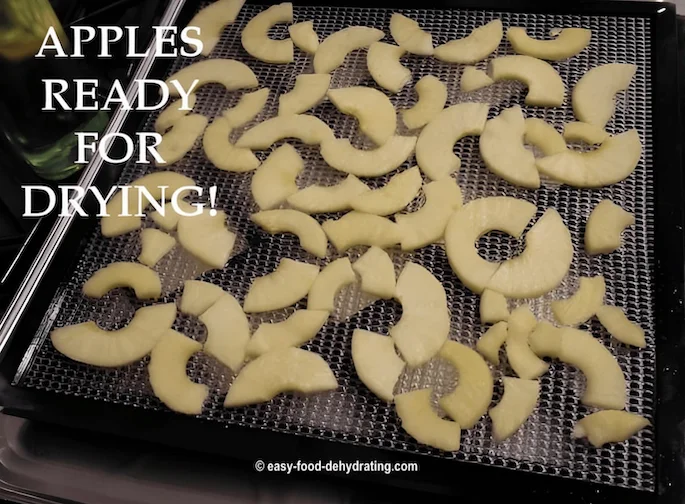 How to dehydrate apples the easy way—prep, dry, and store crisp apple slices with your food dehydrator.