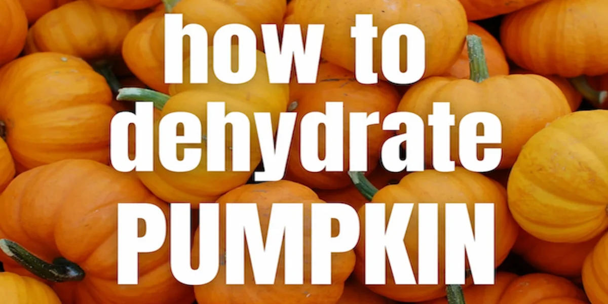 Fresh orange pumpkins piled together with bold white text overlay that reads “how to dehydrate pumpkin.”