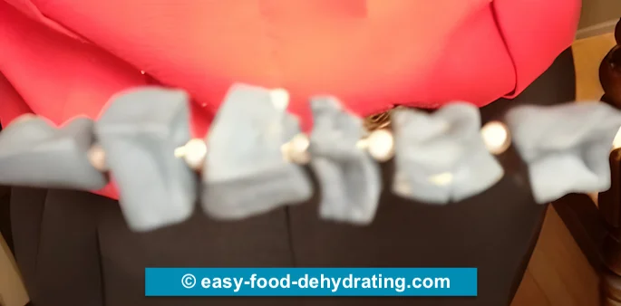 Dehydrated potato-beaded necklace closeup view showing beads in between the potatoes