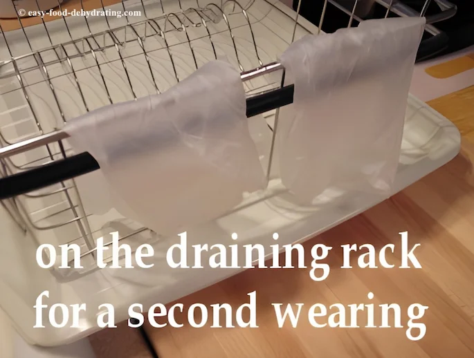 cleaned/washed latex gloves drying for re-use cleaned/washed latex gloves drying for re-use