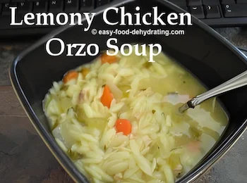 Lemony Chicken Orzo Soup in a bowl