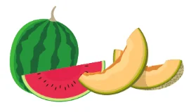 Watermelon and cantaloupe slices