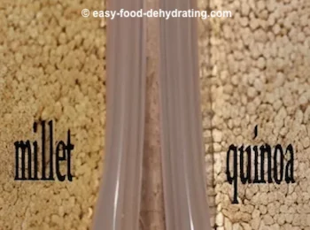 Millet and Quinoa in plastic tubs