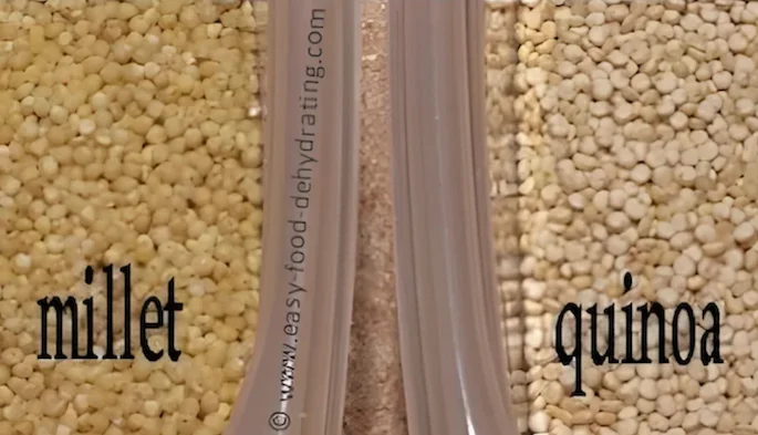 Millet and Quinoa Millet and Quinoa in tubs, side by side