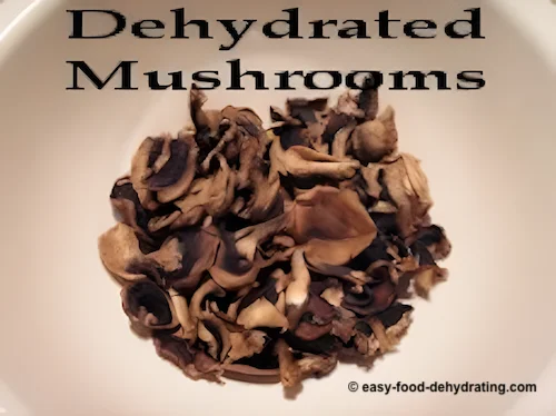 Dehydrated mushrooms in a bowl Dehydrated mushrooms in a bowl