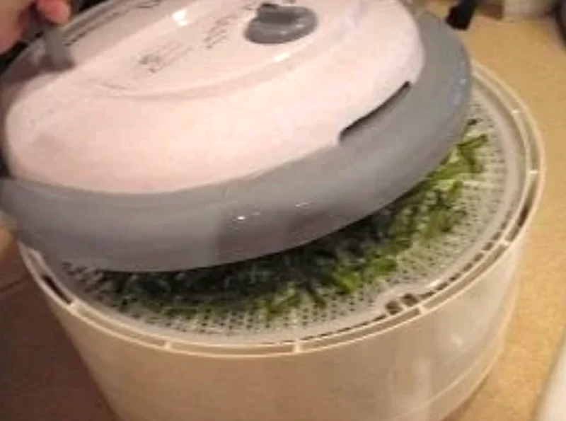 Round Nesco food dehydrator with stacked trays, drying green beans inside a kitchen.