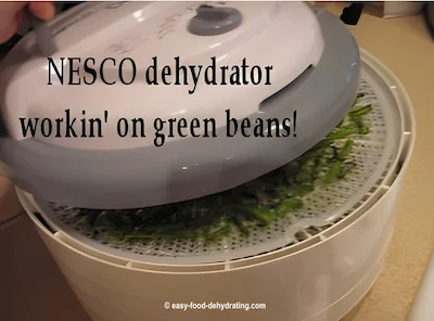 Nesco Dehydrator - 4-tray starter model, showing green beans being dehydrated