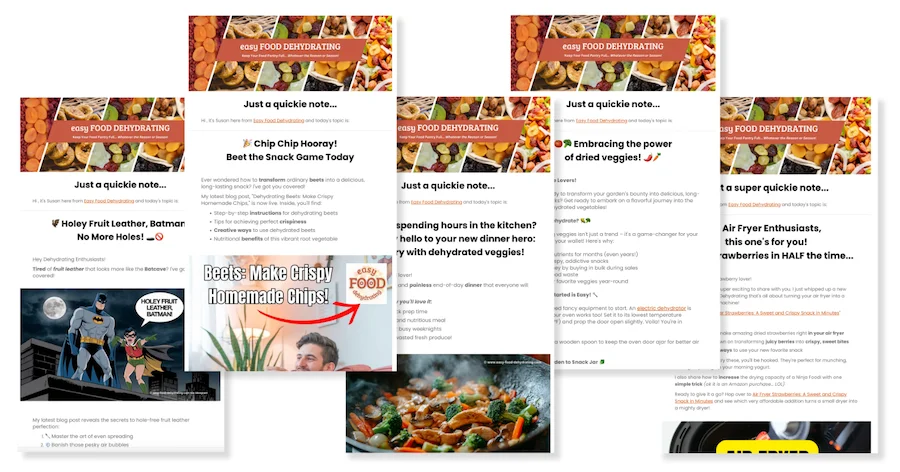 Newsletter - Dehydrating food tips, recipes, and more! newsletter-3.webp