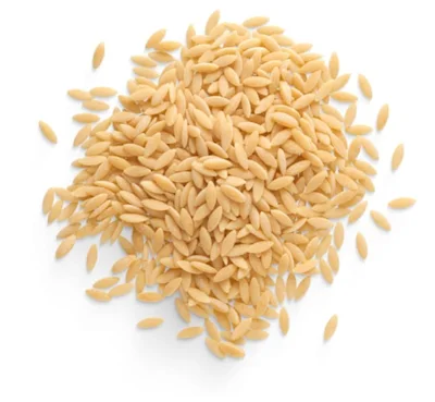 a pile of orzo a pile of rice