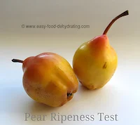 A pair of ripe pears
