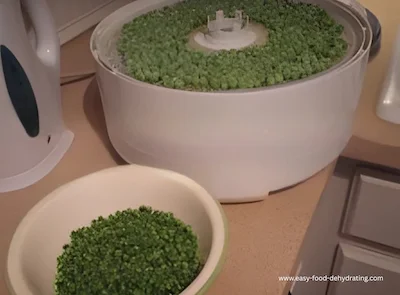 Frozen peas dehydrating on a Nesco dehydrator, and a bowl of dehydrated peas.