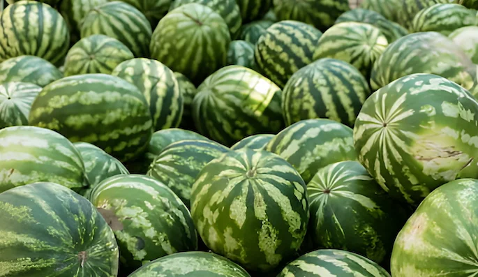 Watermelons in a pile Watermelons in a pile