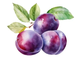 Whole purple plums with green leaves