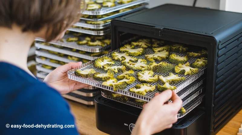 Pulling out a dehydrator tray to rotate