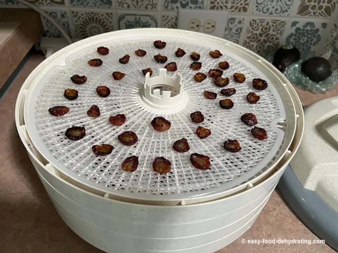 raisins from large red grapes after 15 hours of drying
