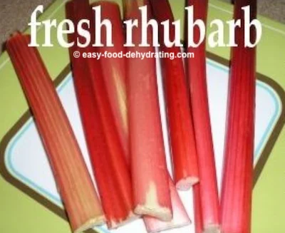 Fresh rhubarb stalks on a plate