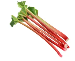 Fresh rhubarb stalks on white background