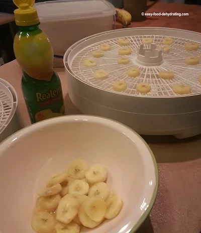 Sliced Bananas sprayed with apple juice in the bowl and on a dehydrator tray