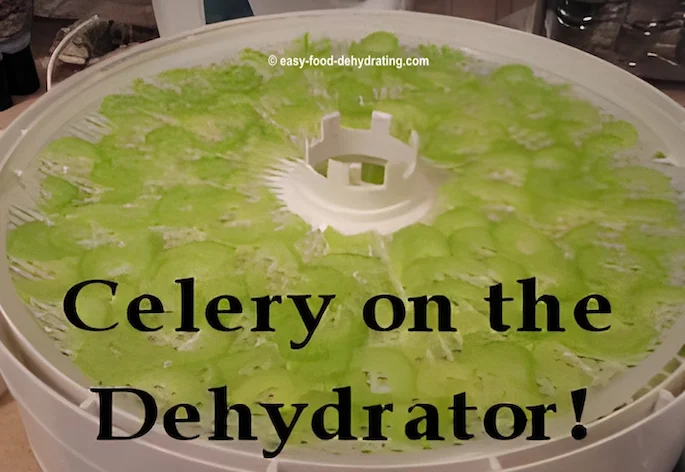 Celery on a Nesco dehydrator tray Celery on a Nesco dehydrator tray
