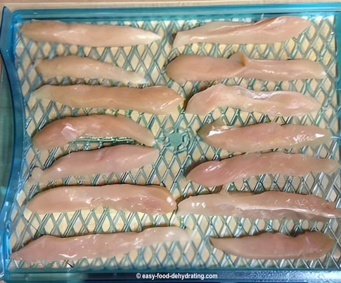 Sliced raw chicken on a pre-sprayed dehydrator tray Sliced raw chicken on a pre-sprayed dehydrator tray