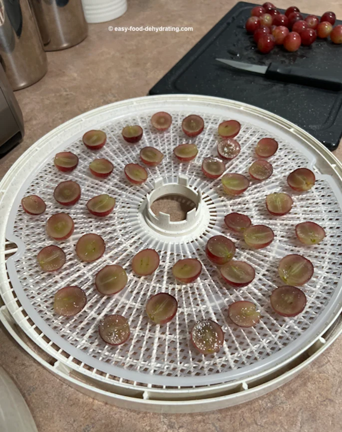 Sliced large red grapes on Nesco dehydrator on a Clean-a-Screen
