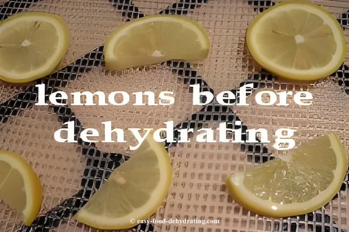 Sliced lemons before dehydrating Sliced lemons before dehydrating