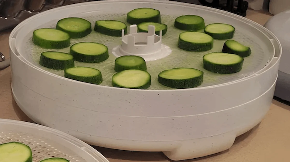 Sliced zucchini drying on a Nesco food dehydrator Slices of fresh zucchini arranged on a Nesco food dehydrator tray