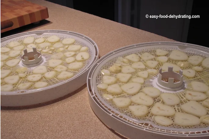 Thinly sliced Elephant Garlic on Nesco dehydrator tray Thinly sliced Elephant Garlic on Nesco dehydrator tray