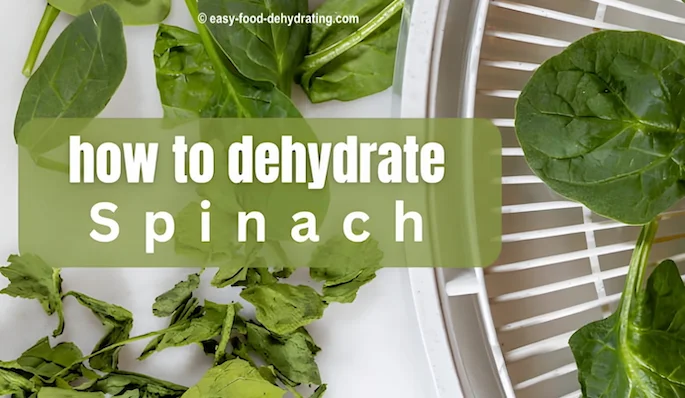 How to dehydrate spinach Spinach on a dehydrator tray, and loose spinach