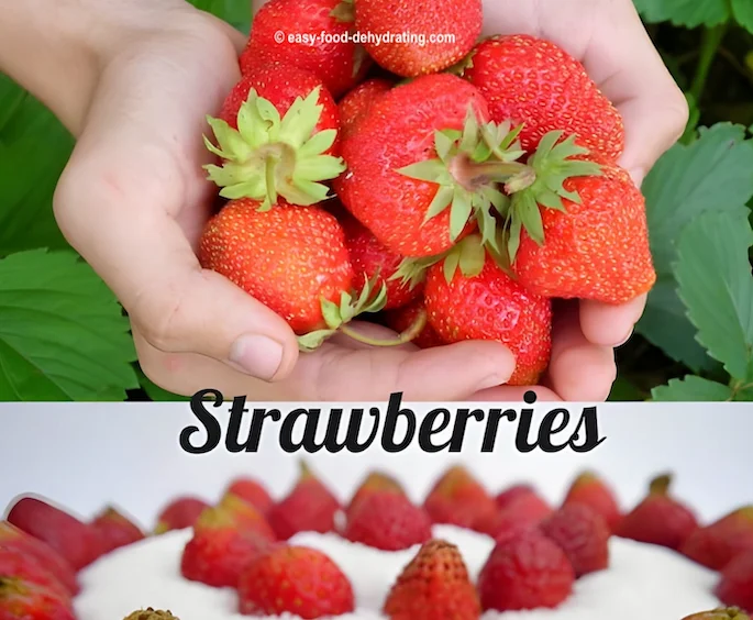 Learn how to dehydrate strawberries easily! Perfect for healthy snacks, smoothies, and sweet treats all year long.