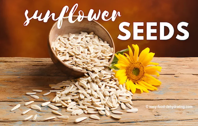 Sunflower seeds spilling out of a bowl Sunflower seeds spilling out of a bowl