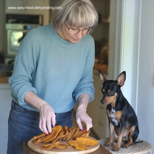 Susan with her Min Pin looking at sweet potato biscuit treats Susan with her Min Pin looking at sweet potato biscuit treats
