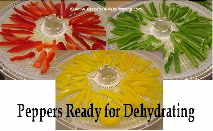 Red, green, and yellow peppers on Nesco dehydrator trays, ready to dehydrate