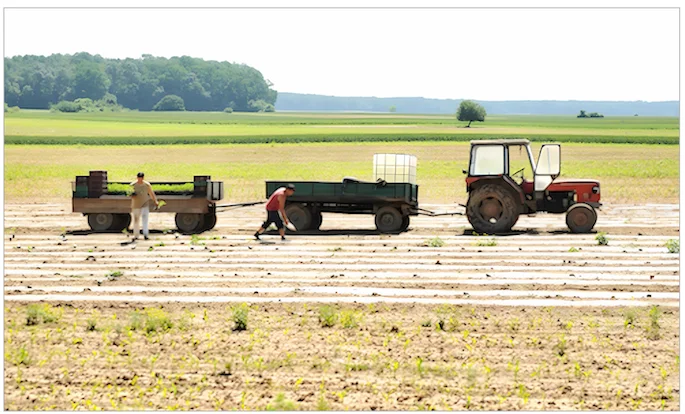 tractor in a field with farmers working the land tractor in a field with farmers working the land