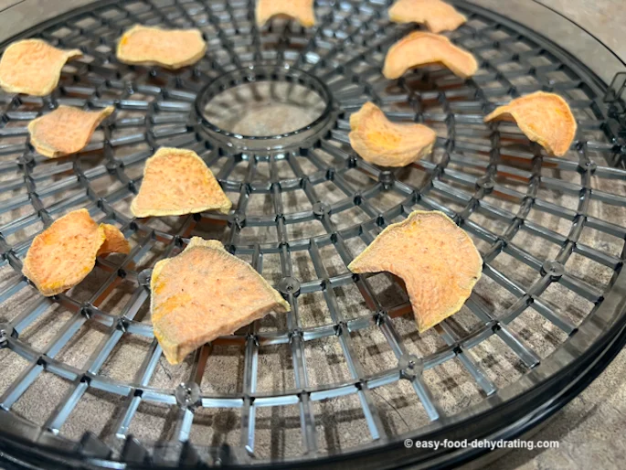 Unseasoned dried sweet potato chips
