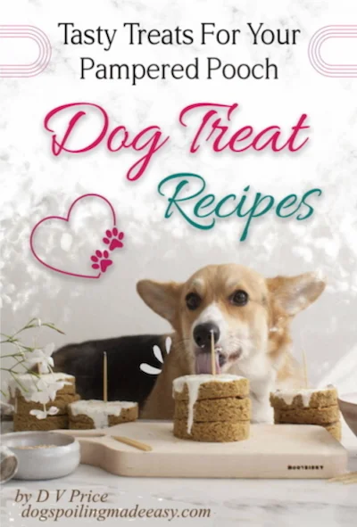 Dog Treat Recipes