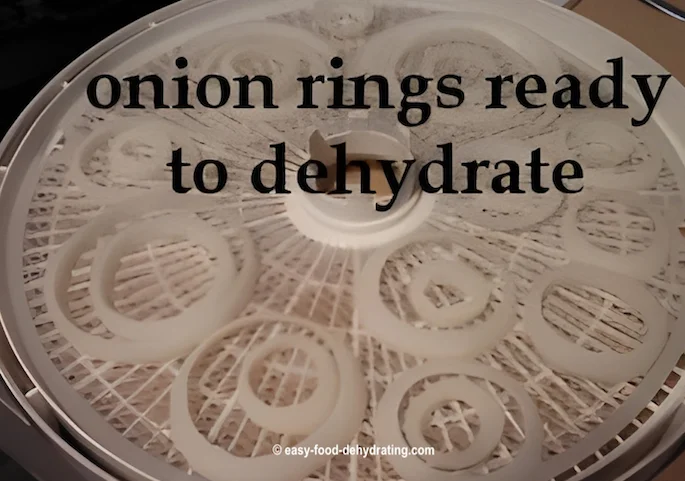 Onion rings on a Nesco tray, ready to dehydrate Onion rings ready to dehydrate