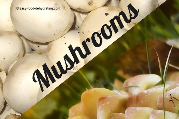 Button mushrooms, and sliced mushrooms, and wild mushrooms Button mushrooms, and sliced mushrooms