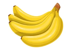 Bunch of ripe yellow bananas