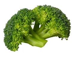 Fresh green broccoli florets