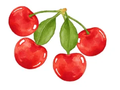 Fresh red cherries on stems