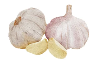 Garlic bulbs and peeled garlic cloves
