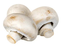 White mushrooms whole and fresh