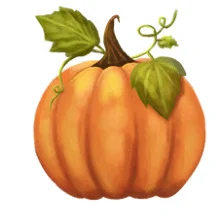 Whole pumpkin with stem and vines