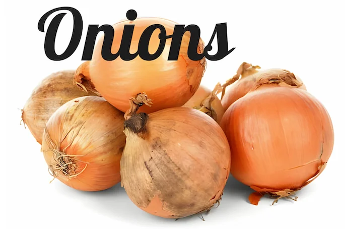 Onions in a pile - peel and slice, and you're ready for dehydrating! Onions in a pile
