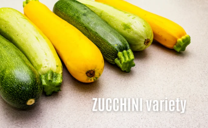 Different varieties of Zucchini Different varieties of Zucchini